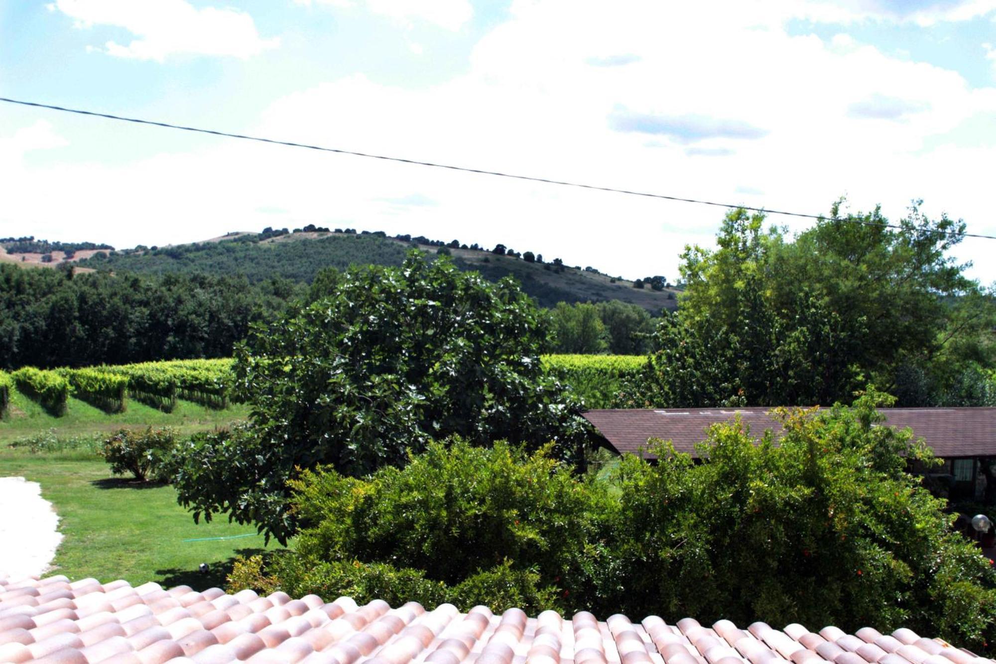 Agriturismo La Vecchia Quercia Монтемерано Екстериор снимка